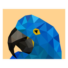 Wall Mural - Polygonal head wild color blue parrot