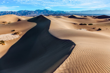 Poster - Dunes illuminated by orange sunset