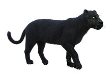 3D Rendering Black Panther On White
