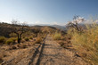 © Javier - landscape near Ugijar