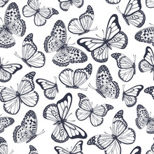 Hand Drawn Seamless Pattern With Outline Butterflies