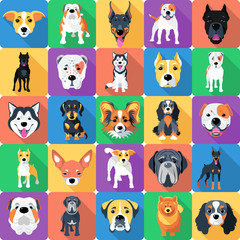 Wall Mural - Seamless pattern with dogs flat design