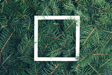 closeup of christmas tree branches as background, top view