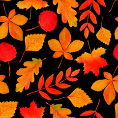Wall Mural - Watercolor black pattern of autumn leaves. 