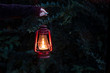 Girl holding a Lit Lantern in the forest 