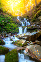 Autumn Mountain Waterfall Stream In The Rocks With Colorful Fallen Dry Leaves, Landscape