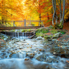 Wall Mural - autumn in forest park - colorful trees, small wooden bridge and fast river with stones