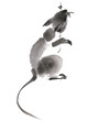 Chinese ink painting. Illustration of mouse on white background for calendar, banner or placard. Symbol of chinese new year 2020.