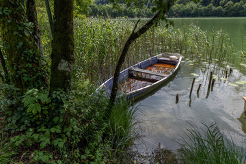 Canvas Print - Barque sur un lac paisible