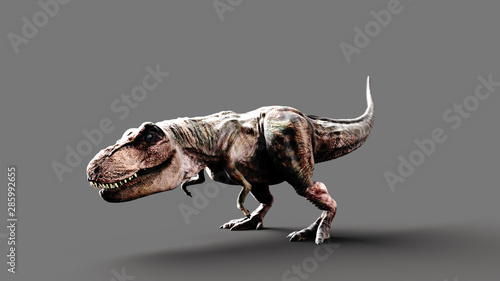 Tyrannosaurus T-Rex Wallpaper Mural