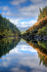 Wall Mural - Nearly perfect fall reflections with blue sky and fluffy white clouds while rafting down the Rogue River in Oregon.