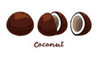  Fruit Illustration pack Coconut in Whole and Sliced
