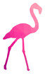Low poly Pink flamingo illustration isolated on white background. Tropical bird.