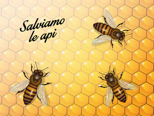 Sticker - save the bees