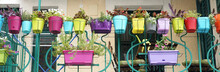 Colorful Flowers And Flowerpots Variety Beautiful Terrace Balcony House Exterior