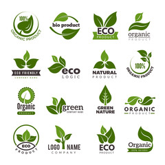 leaf logo. bio nature green eco vector symbols business logo template. illustration of bio eco green