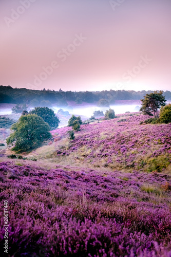 Posbank netherlands, misty foggy sunrise over the national park Veluwezoom Po...