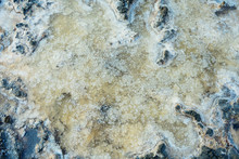 Close Up Of High Resolution Texture Of Crystallized Salt In A Lake. Space Landscapes. Beatiful Colors Of Nature. Travel Photo Background. Dried Sea Salt In The Ground