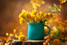 Beautiful Yellow Flower In Blue Cup On Wooden Table At Bokeh  Background, Front View. Autumn Still Life With Chrysanthemum Flower.