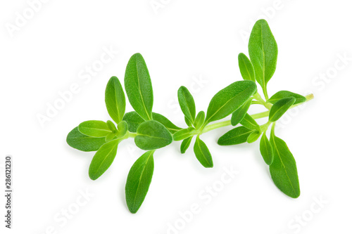 Fotomural Fresh thyme spice isolated on white background