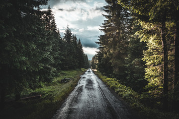 Wall Mural - Summer rainy road through forest on Sumava, Czech republic