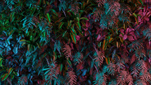 Neon Tropical Jungle Forest Leaves In Vibrant Color For Retro Poster Background Like Stranger Things. 80s 70s 60s. 3d Rendering