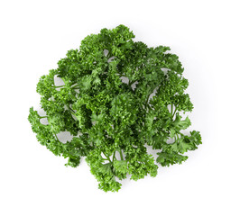 fresh parsley herb isolated on white background. top view