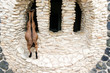 © Jiří Tashi Vondráček - Funny goat looking at the window made of stones