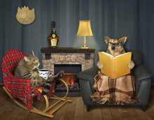The Cat With A Cup Of Coffee In The Wooden Rocking Chair And The Dog With A Newspaper In The Leather Armchair Are Near Fireplace In The Living Room.
