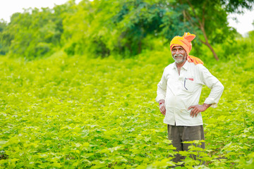 Wall Mural - young indian farmer working at field