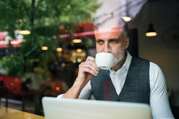 Wall Mural - Mature man with coffee at the table in a cafe, using laptop.