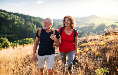 senior tourist couple travellers hiking in nature, walking and talking.