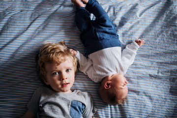 Wall Mural - A top view of small boy with a newborn baby brother at home.