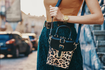 Close up of trendy woman`s autumn outfit: golden wrist watch, faux leather leopard printed box bag. Copy, empty space for text