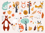 Cute Autumn Woodland Animals and Floral Forest Design Elements. Set of cute autumn cartoon characters, plants and food. Fall season.