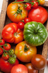 Fresh garden colorful tomatoes