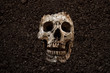 Human skull buried halloween bakground