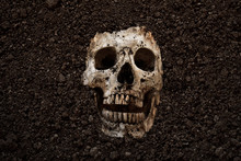 Human Skull Buried Halloween Bakground
