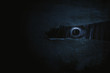 © fotokitas - Scary ghost woman eye peeking