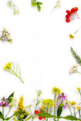 Wall Mural - Colorful wildflowers on white background. Flat lay, top view. 