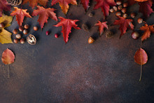 Autumn Background With Nuts And Autumn Leaves  On Dark Stone Table