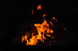 © YAROSLOVEPHOTOVIDEO - Beautiful bright fire on black background at night.