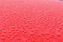 Hundreds And Thousands Of Beaded Water Droplets On The Surface Of A Waxed Red Car