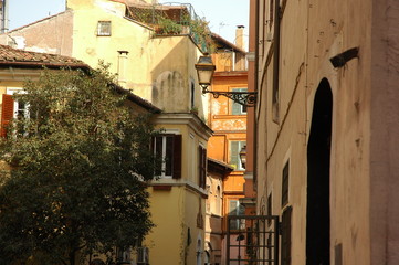 Old european street in summer. Warm light