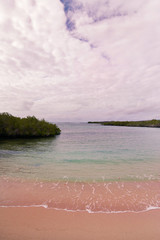 PLAYA PUNTA ESTRADA GALÁPAGOS