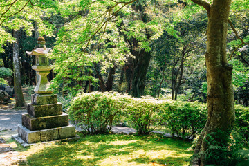 Wall Mural - Godaisan mountain Chikurin-ji temple, Shikoku pilgrimage in Kochi, Shikoku, Japan