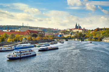 Sticker - Autumn leaves in praha, prague czech republic.