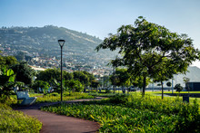 View Of Funchal City From The Park, Madeira Island, Portugal.