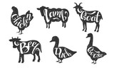 Fototapeta Dinusie - Farm Animals Silhouettes Retro Labels Set, Beef, Duck, Goose, Chicken, Lamb, Goat, Butchery Hand Drawn Badges Monochrome Vector Illustration