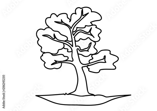 Fototapeta Drzewo Las Planeta Przyroda Ochrona środowiska Kolorowanka Rysunek Ozdoba